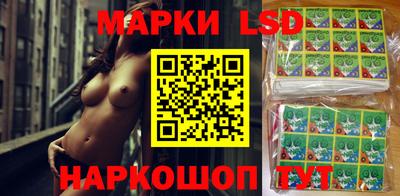 спиды Кингисепп