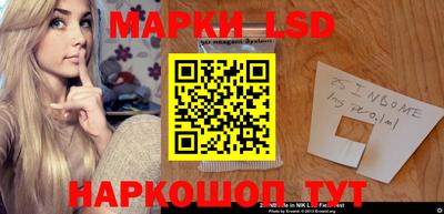 спиды Кингисепп