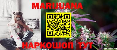 спиды Кингисепп