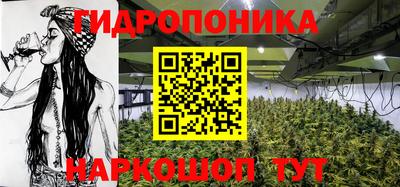 спиды Кингисепп
