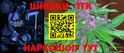 спиды Кингисепп