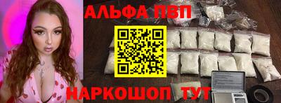 спиды Кингисепп