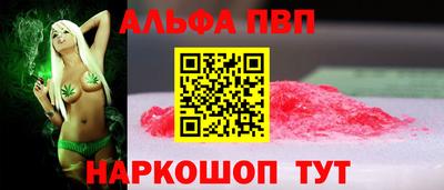 спиды Кингисепп