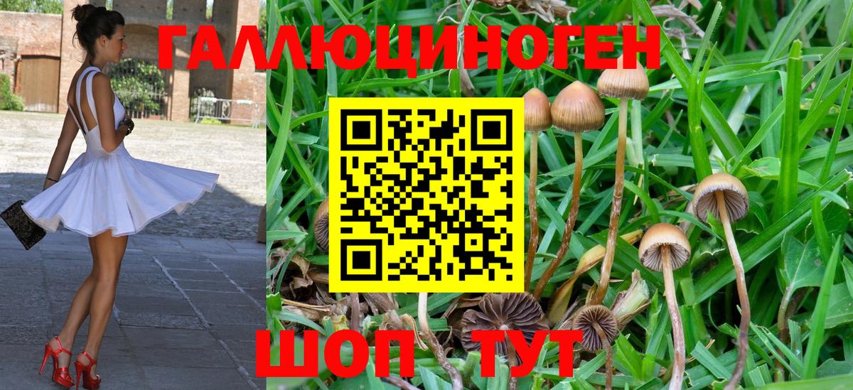 Псилоцибиновые грибы мухоморы  Псилоцибиновые грибы MAGIC MUSHROOMS  Курск  Вход с VPN 