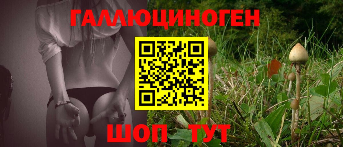 Галлюциногенные грибы ЛСД Курск